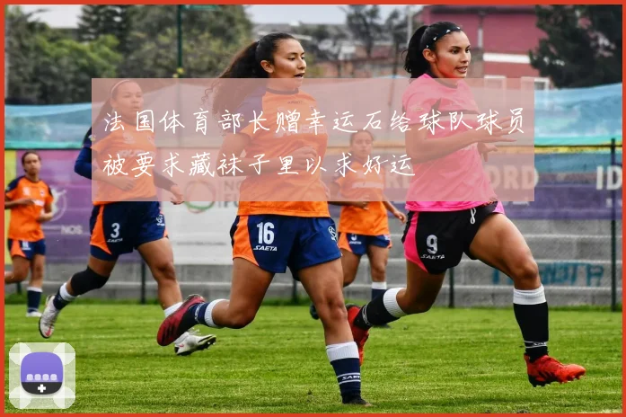法国体育部长赠幸运石给球队球员被要求藏袜子里以求好运