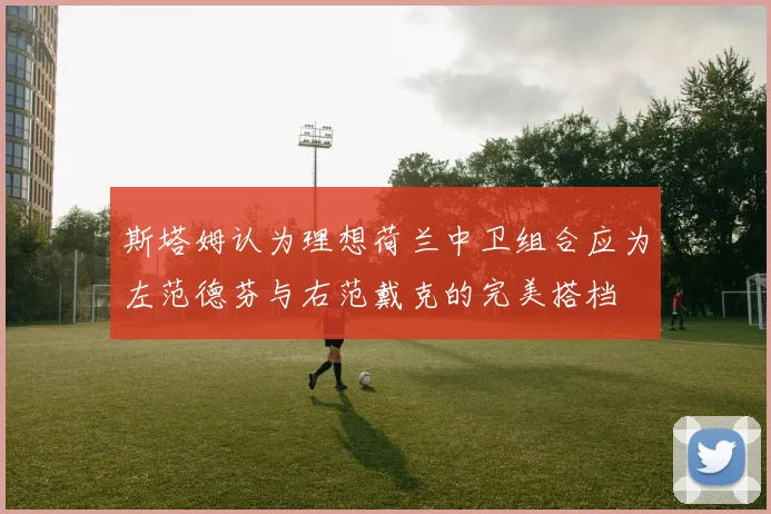 斯塔姆认为理想荷兰中卫组合应为左范德芬与右范戴克的完美搭档